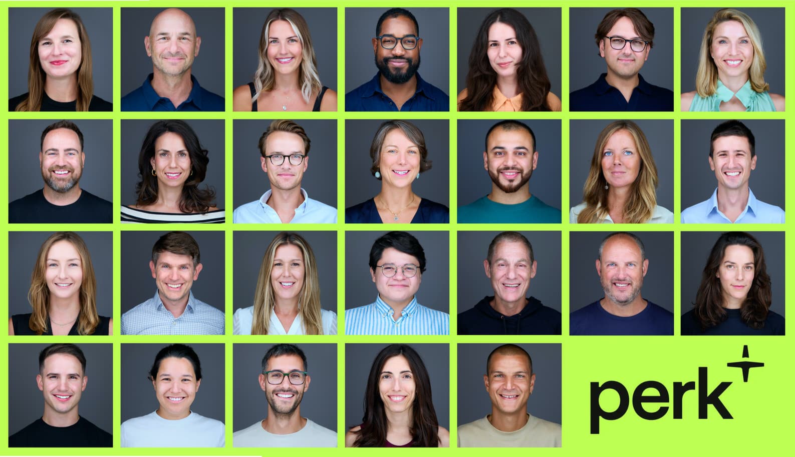 Peter Hurley Lighting System